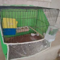 فنج. گلبسر