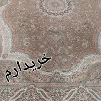 قالی