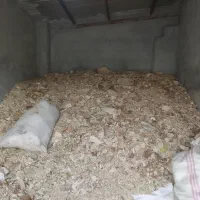 نون خشک میخرم