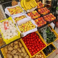 واگذار-میوه-فروشی