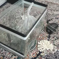 آکواریوم شیشه خم....