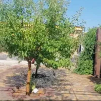 خانه-باغ-2000متری-80بنا-آب-برق-مجتمع-بزرگ-پردیس