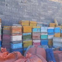 فروش کندو خالی