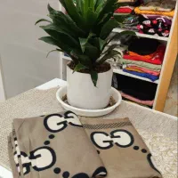 شال موهر گوچی