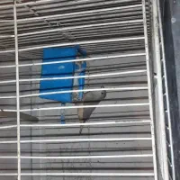 اورنج ماده