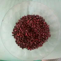 حبوبات|خوردنی و آشامیدنی|ورامین, ورامین|دیوار