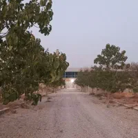 زمین باغی ۵۳۰ متر داخل مجموعه با کمترین مبلغ