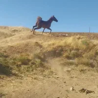 مادیون فروشی