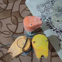 پمپ کولر سوخته