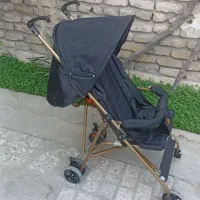 کالسکه عصایی