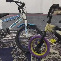 2 عدد دوچرخه