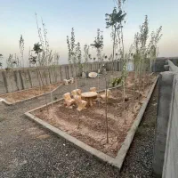 باغ-ویلا-500-متری