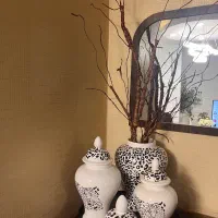 اشیا کلکسیونی