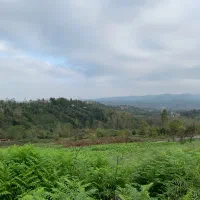 بهشت|فروش زمین و ملک کلنگی|اطاقور, |دیوار