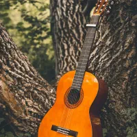 فروش و خرید انواع گیتار سالم و تعمیری