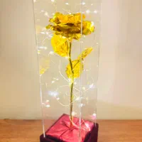 کادو روز زن|مجسمه، تندیس، ماکت|شیراز, معالیآباد|دیوار