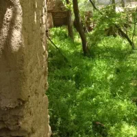 زمین-عرصه-و-عیان-با-ویو-ابدی