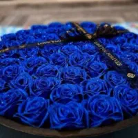 گل جاودان..|گل مصنوعی|بندر ماهشهر, |دیوار