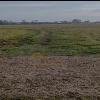 زمین کشاورزی