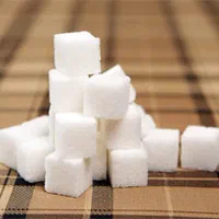 قند زنجان|عمده‌فروشی|قم, چهل درخت‎|دیوار