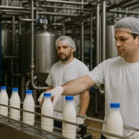 کارگر ساده خط تولید و کارشناس صنایع غذایی