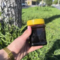 فروش عسل وحشی کوهی خاصیت درمانی
