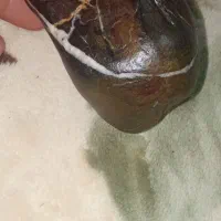 سنگ|کلکسیون اشیاء عتیقه|تربت جام, جامرود|دیوار