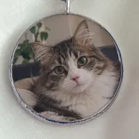عکس حیوون خونگی بفرست  برات ی جاسویچی بسازم