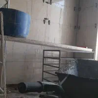 کاشی کاری وسرامیک|خدمات پیشه و مهارت|بندر ماهشهر, |دیوار