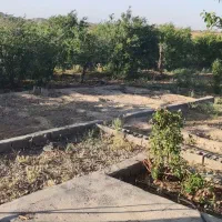 فروش-زمین-کشاورزی