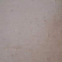 پالاز موکت|موکت|تبریز, |دیوار