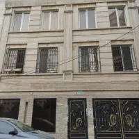 پونک-شاهین-شمالی