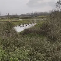 فوری-فوری-فروش-زمین-در-بهترین-لوکیشن