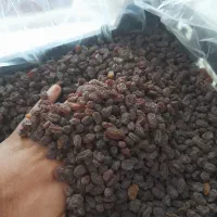 کشمش آفتابی درجه یک محصول تاکستان