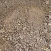 کود|گل و گیاه طبیعی|ساوه, |دیوار