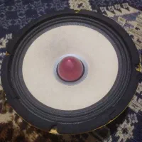 میدرنج هکتور اصلی|قطعات یدکی و لوازم جانبی|مراغه, |دیوار