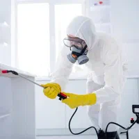 سمپاشی‌‌ سوسک سم پاشی ساس‌ باضمانت نامه کتبی