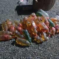 بطری نوشابه