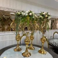سفره عقد کامل -هیتر گازی -صندلی-دیس غذا|خدمات پذیرایی، مراسم|لاهیجان, گلستان|دیوار
