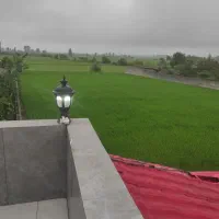 فروش شالیزار