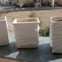 گلدان|گل و گیاه طبیعی|صدرا-فارس, فاز ۱|دیوار