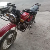 احسان شکاری