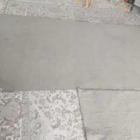 پلازموکت