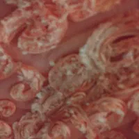 مانتو|لباس|تهران, فاطمی|دیوار