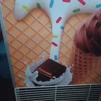 فریزر صندوقی ۶۵۰ لیتری|یخچال و فریزر|اندیمشک, |دیوار