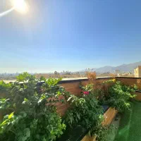اختیاریه‌شمالی/ ۱۲۵متر/ Full مشاعات/ سه ور نور|اجارهٔ آپارتمان|تهران, اختیاریه|دیوار