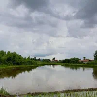 فروش سیم کارت رند