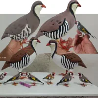 مجسمه سهره پرنده کبک کادو هدیه ماکت پرنده