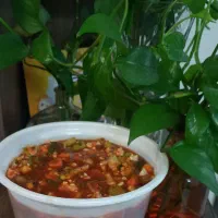 محصولات خانگی عمه لیلا