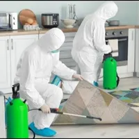 سمپاشی و موریانه زدایی تخصصی با ضمانت کتبی